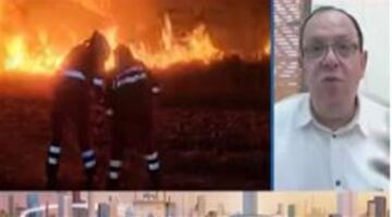 خبير مناخ يحذر من تأثير الجفاف على مستقبل تجدد الغابات عالمياً