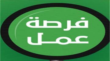 فرص عمل برواتب مجزية تصل إلى 20 ألف جنيه للباحثين عن وظائف جديدة