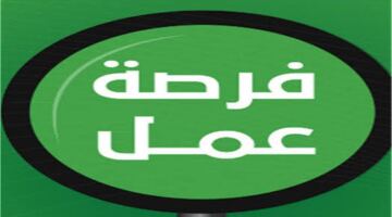 فرص عمل شاغرة في القاهرة بمزايا مالية مجزية وتخصصات مهنية متنوعة ومطلوبة