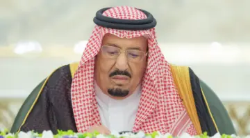 مجلس الوزراء يضع استراتيجية جديدة لتأمين حركة الملاحة الدولية في مضيق هرمز