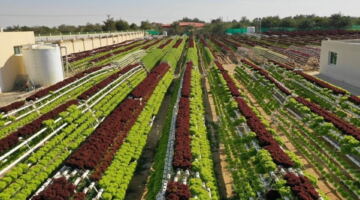 الإمارات تفتح آفاقاً جديدة لغزو الأسواق العالمية بالمنتجات الوطنية المبتكرة والمنافسة