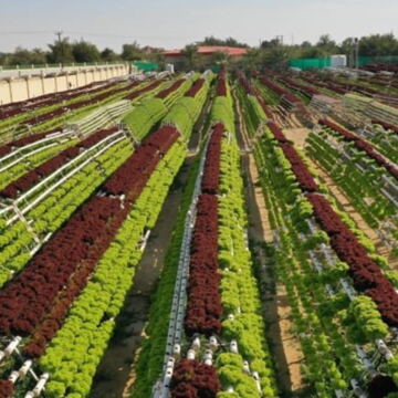 الإمارات تفتح آفاقاً جديدة لغزو الأسواق العالمية بالمنتجات الوطنية المبتكرة والمنافسة